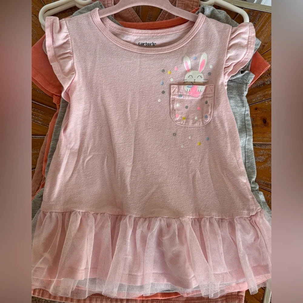 Used Carter’s Toddler Girl Pink Ruffle Sleeve Peplum Top with Bunny Design in 3T